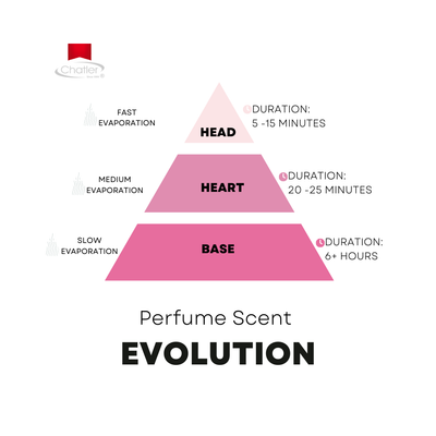 Chatler Eau de Parfum - Anela Novel