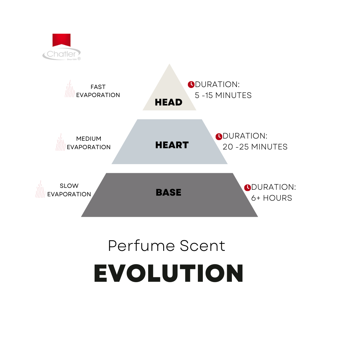 The Fragrance Pyramid List Of Perfume Notes Peach Mango Eau De