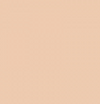Art Scenic Professional Stick Concealer