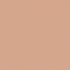 Art Scenic Professional Stick Concealer