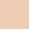 Art Scenic Professional Stick Concealer