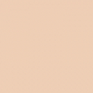 Art Scenic Professional Stick Concealer